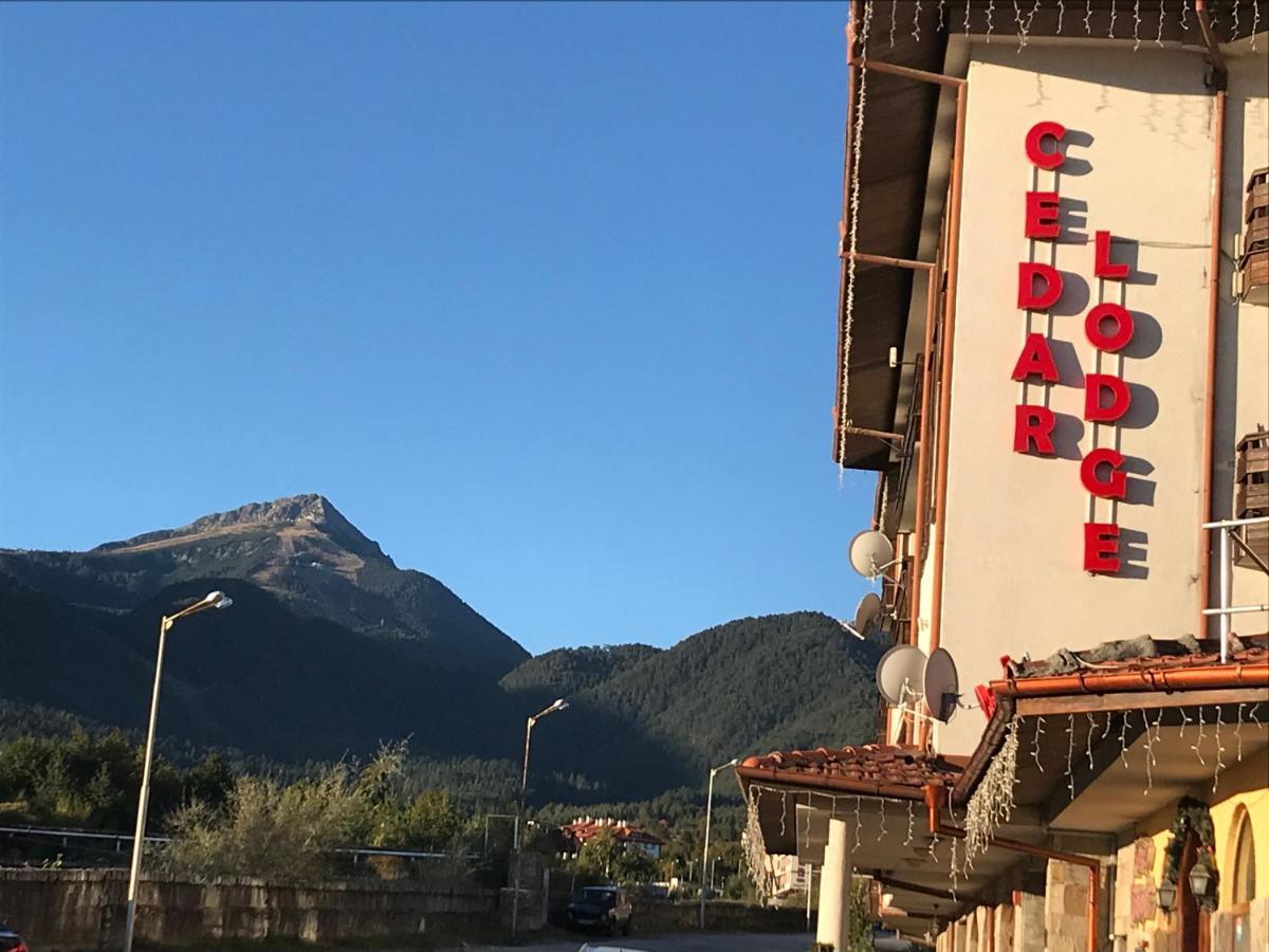 Ski Zone At Gondola, Perfect One Bdrm, Fast Wifi, Netflix, Quiet, Warm Bansko Ngoại thất bức ảnh