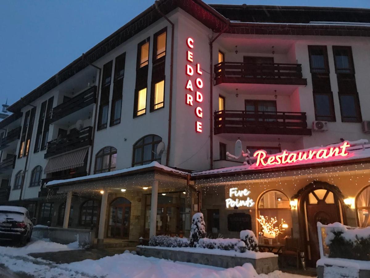 Ski Zone At Gondola, Perfect One Bdrm, Fast Wifi, Netflix, Quiet, Warm Bansko Ngoại thất bức ảnh